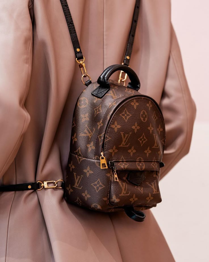Louis Vuitton Palm Springs Backpacks