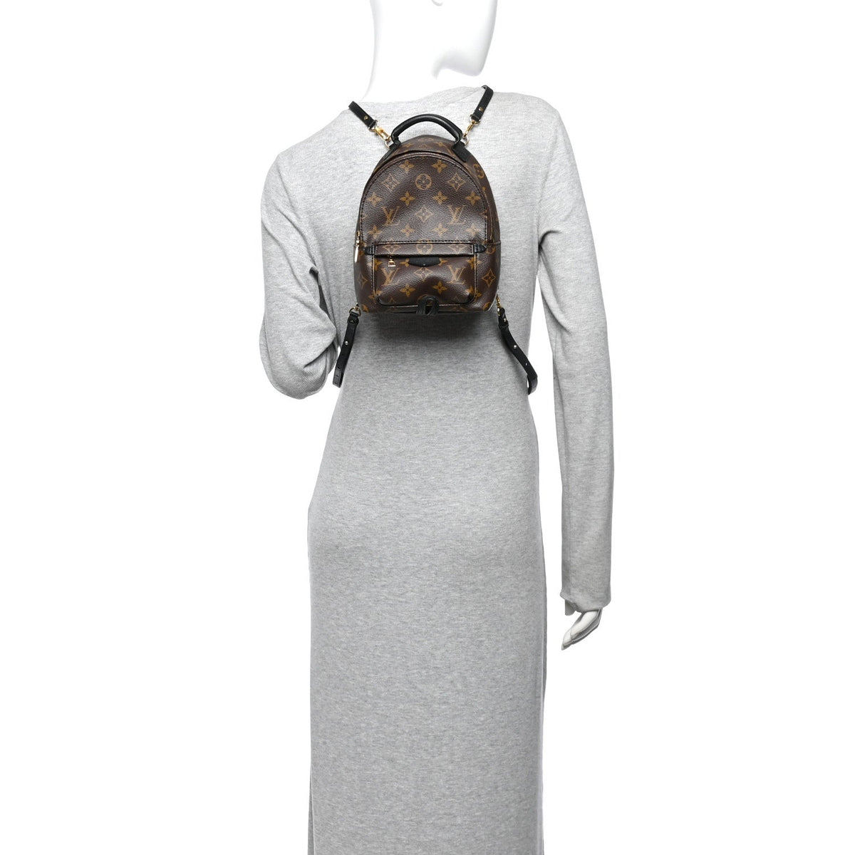 Monogram Palm Springs Backpack Mini