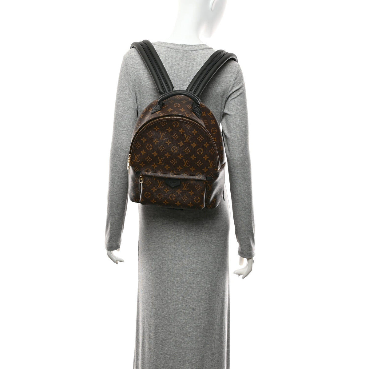 Monogram Palm Springs Backpack MM