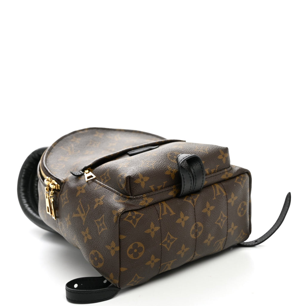 Monogram Palm Springs Backpack PM