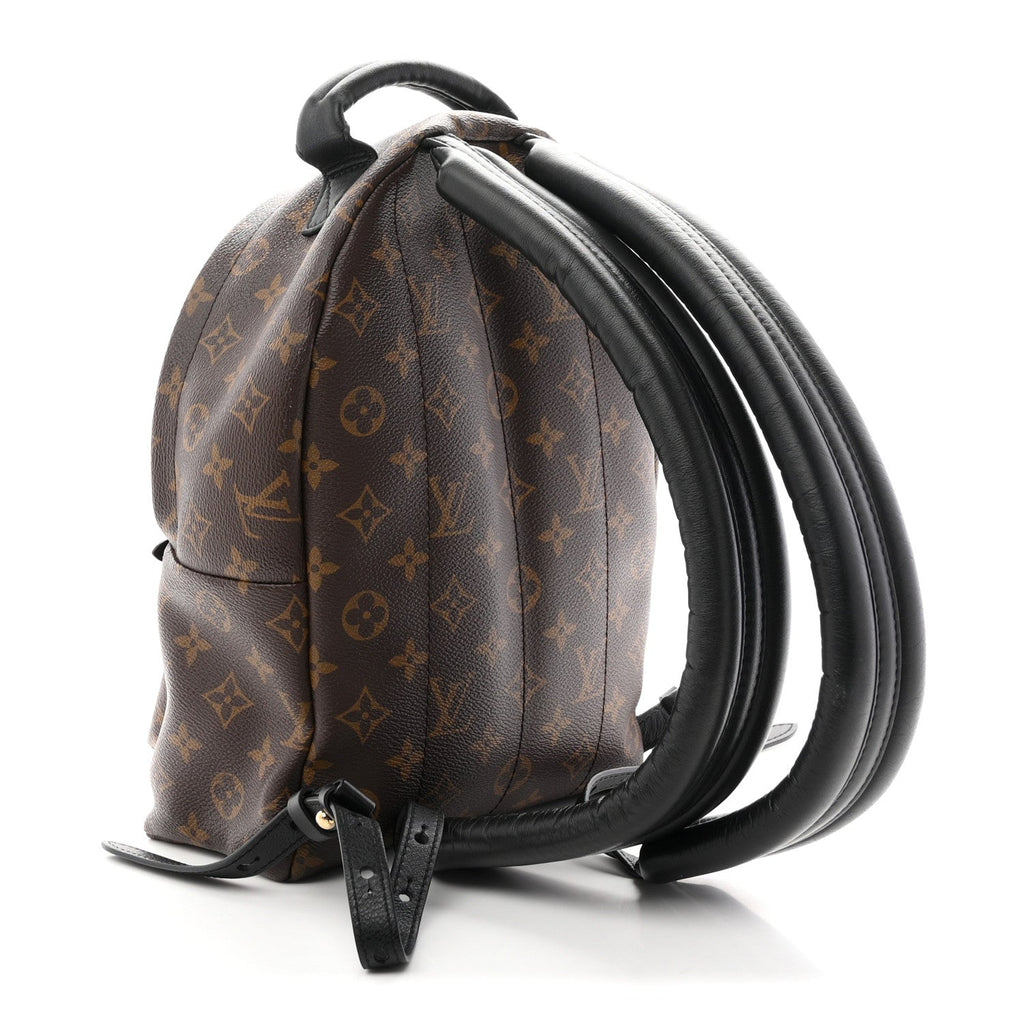 Monogram Palm Springs Backpack PM