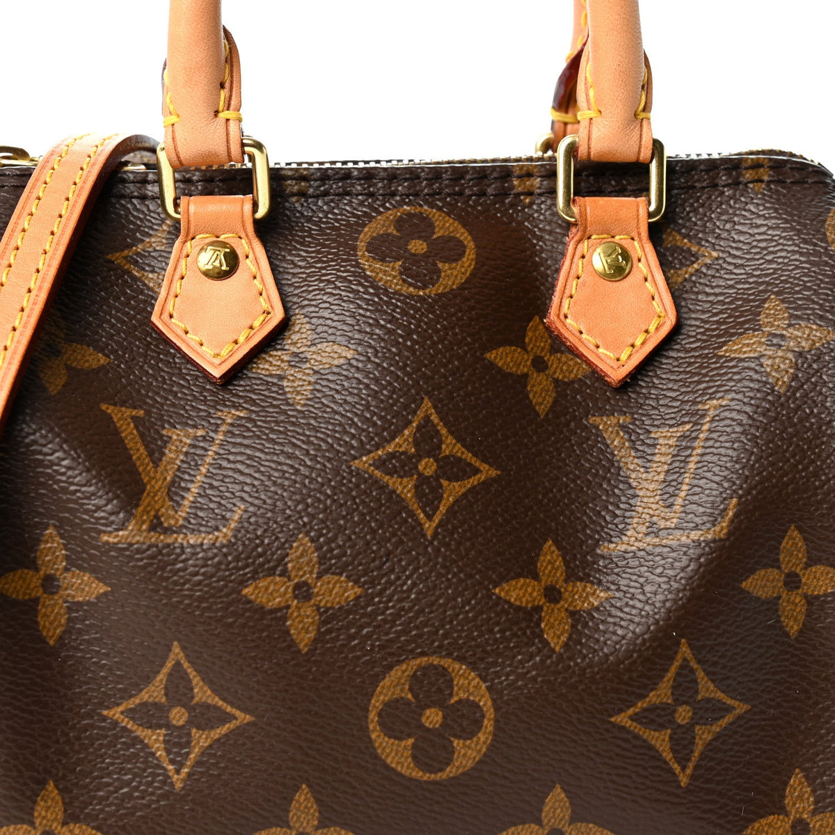 Monogram Nano Speedy