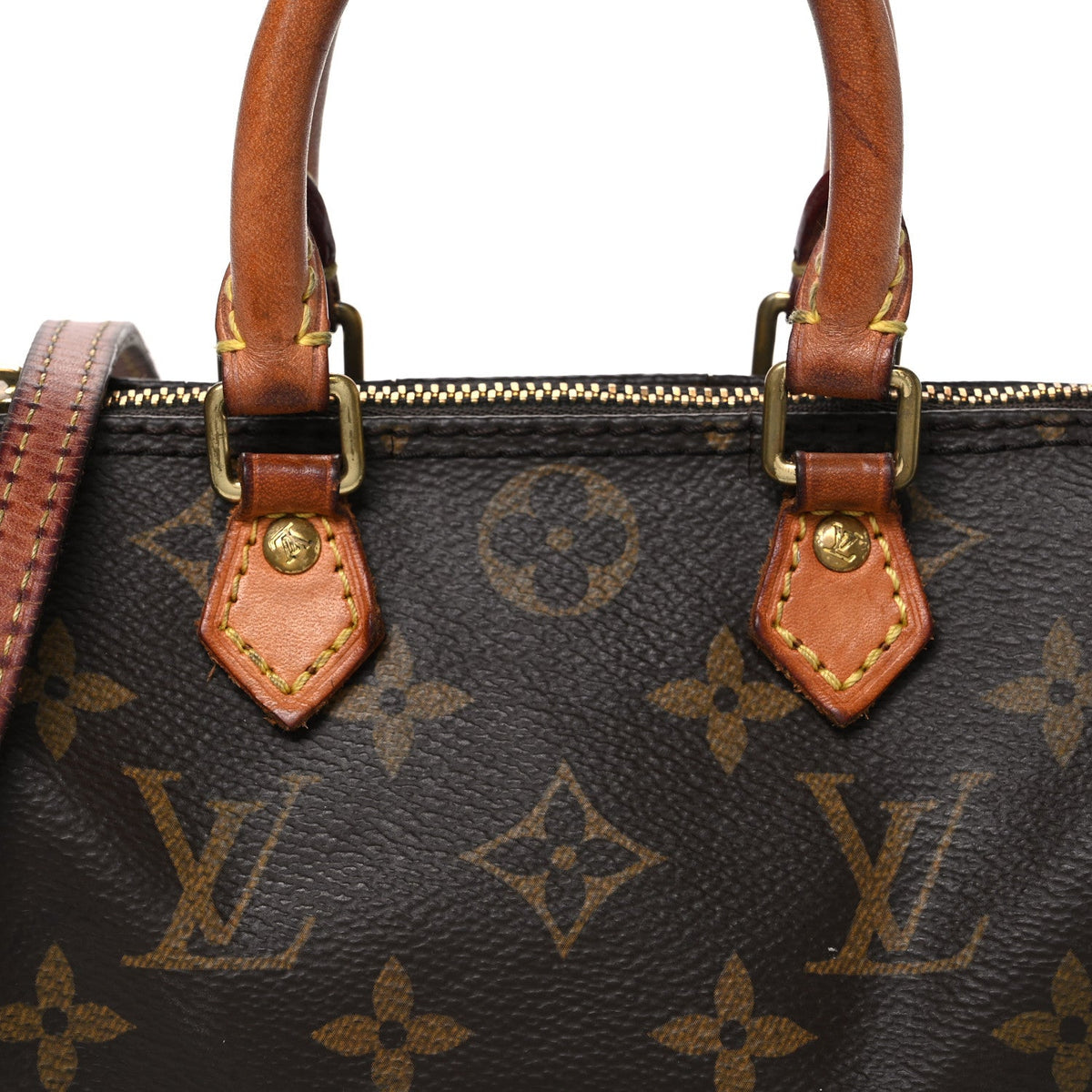 Monogram Nano Speedy