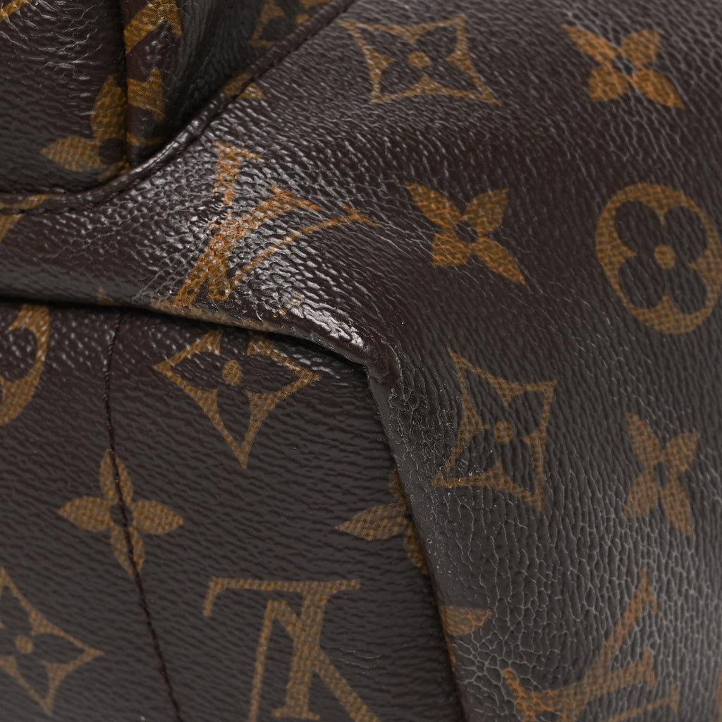 Monogram Palm Springs Backpack MM