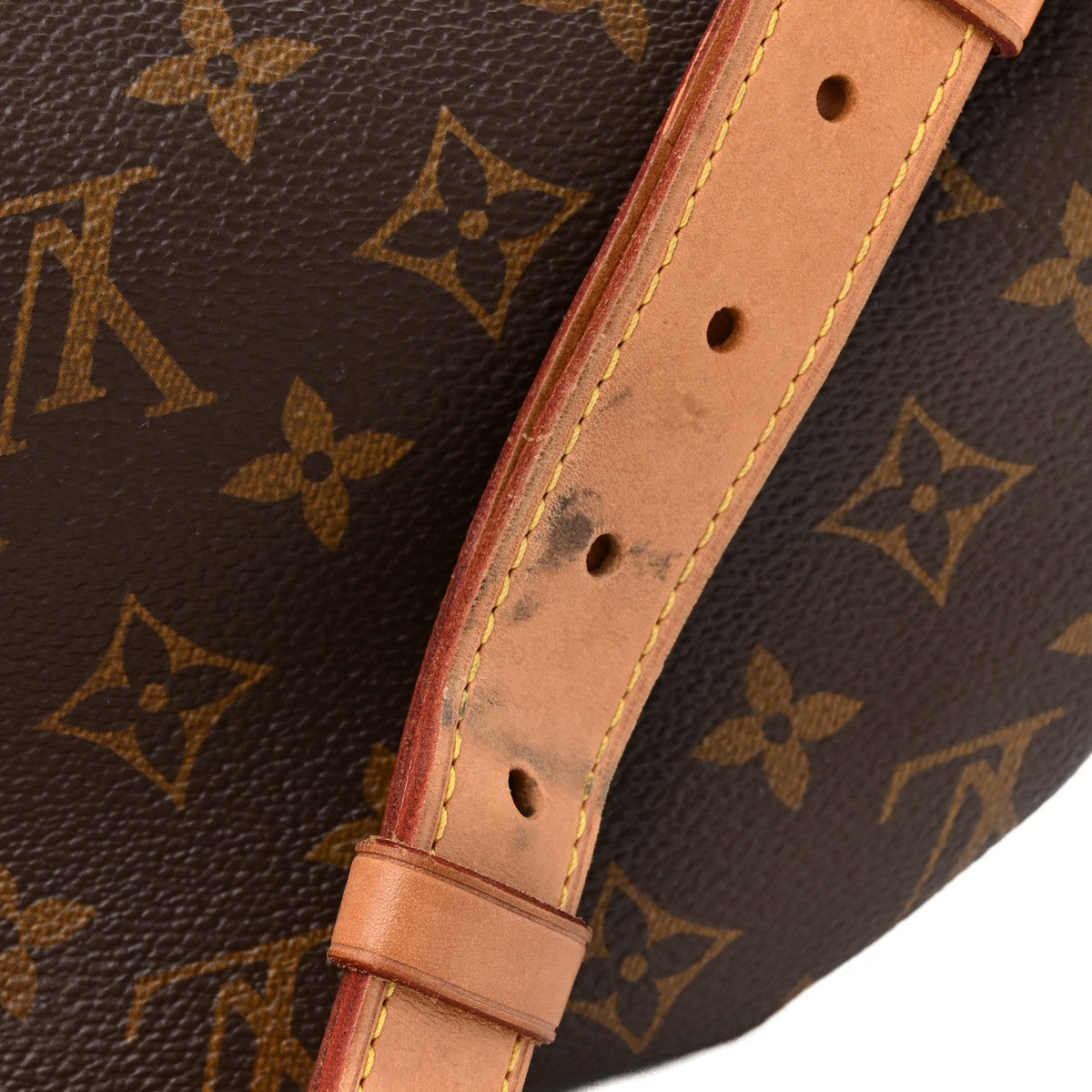 Monogram Bumbag