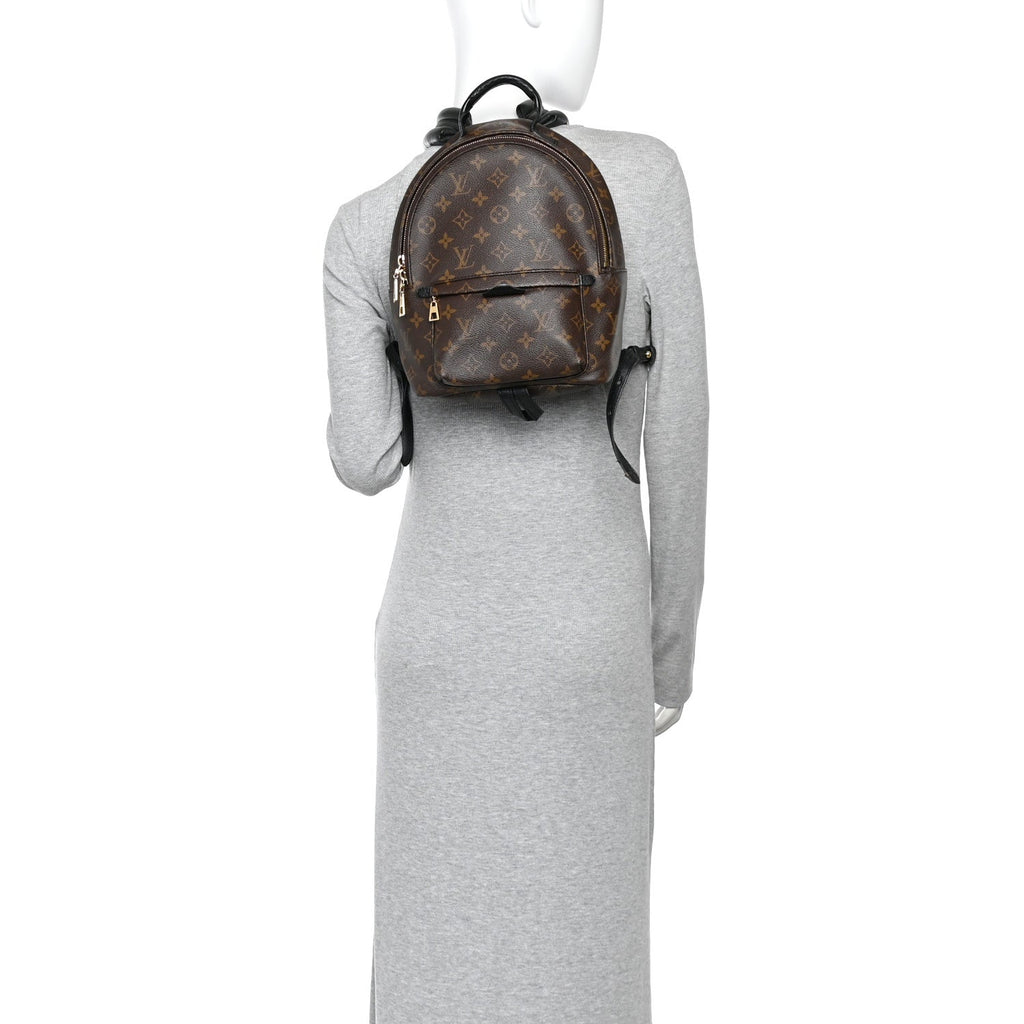 Monogram Palm Springs Backpack PM