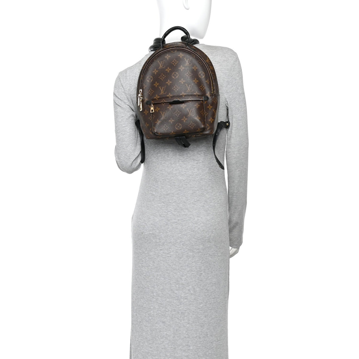 Monogram Palm Springs Backpack PM