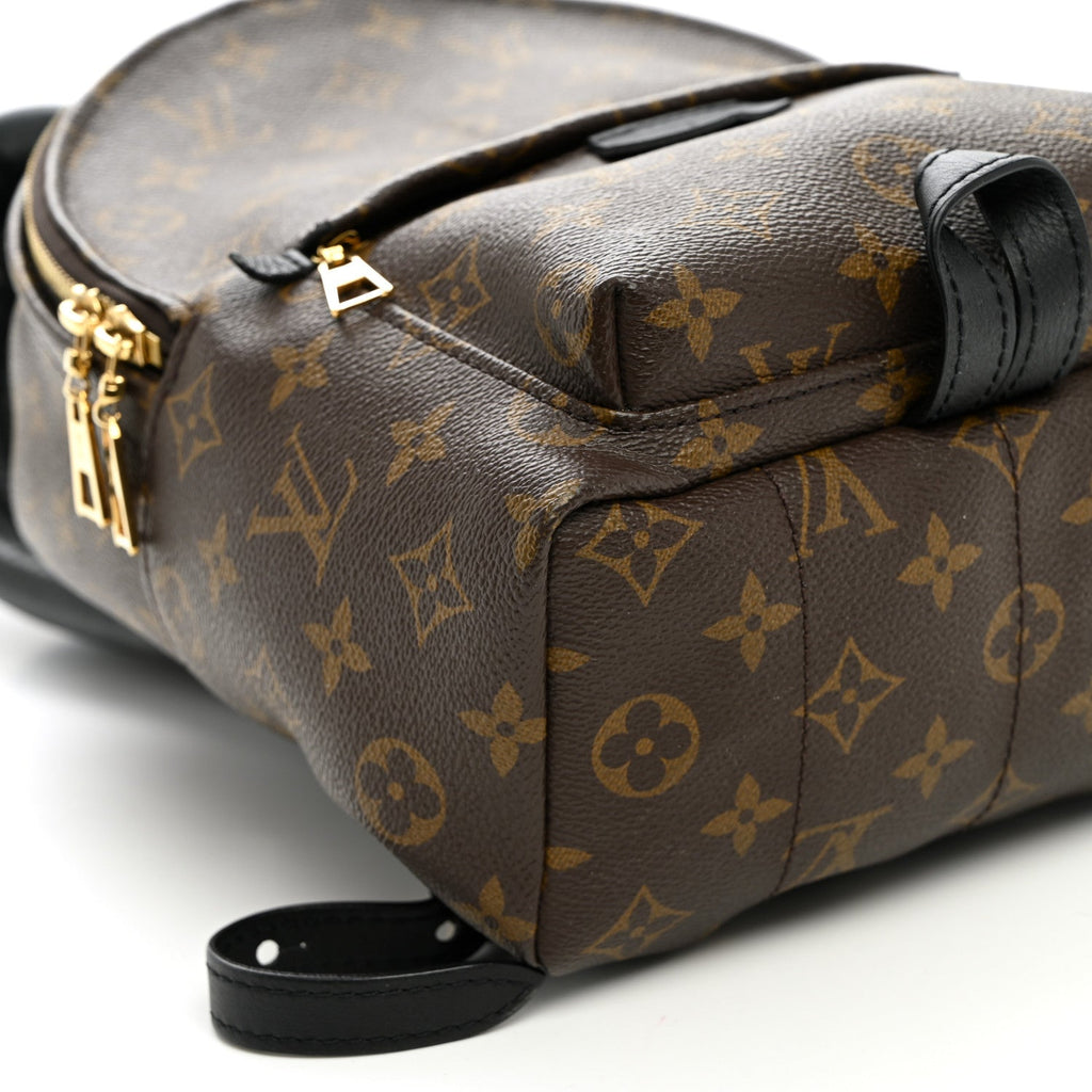 Monogram Palm Springs Backpack PM