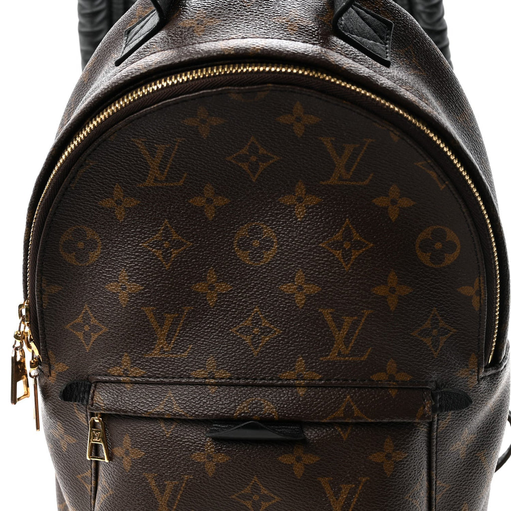 Monogram Palm Springs Backpack PM