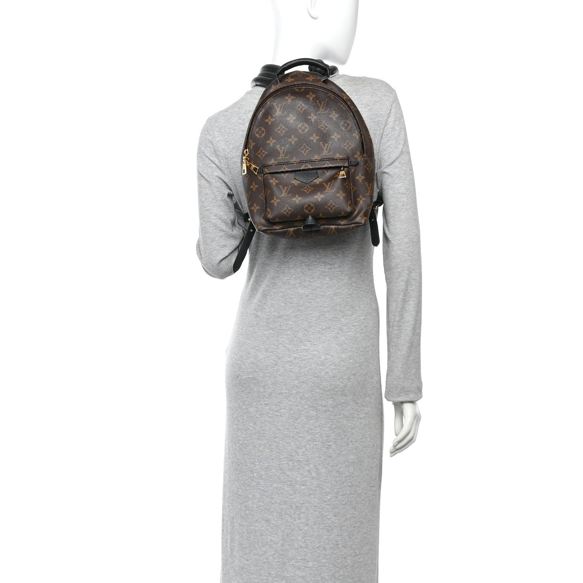 Monogram Palm Springs Backpack PM