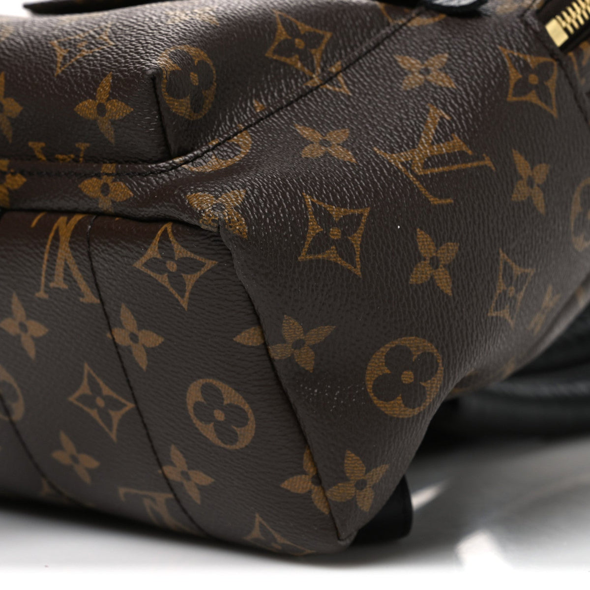 Monogram Palm Springs Backpack PM