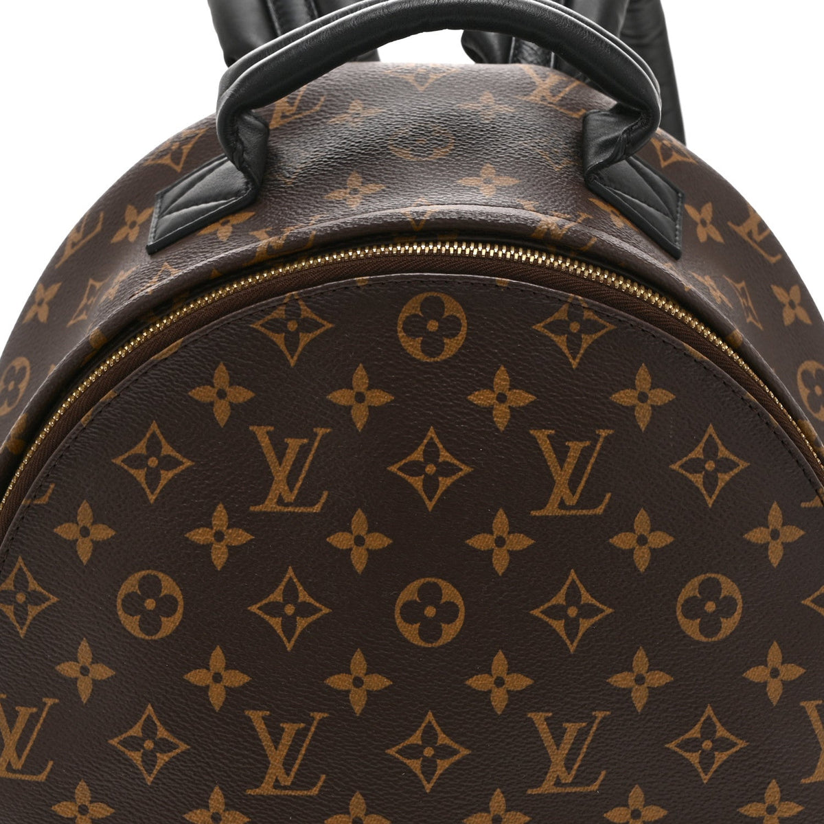 Monogram Palm Springs Backpack MM