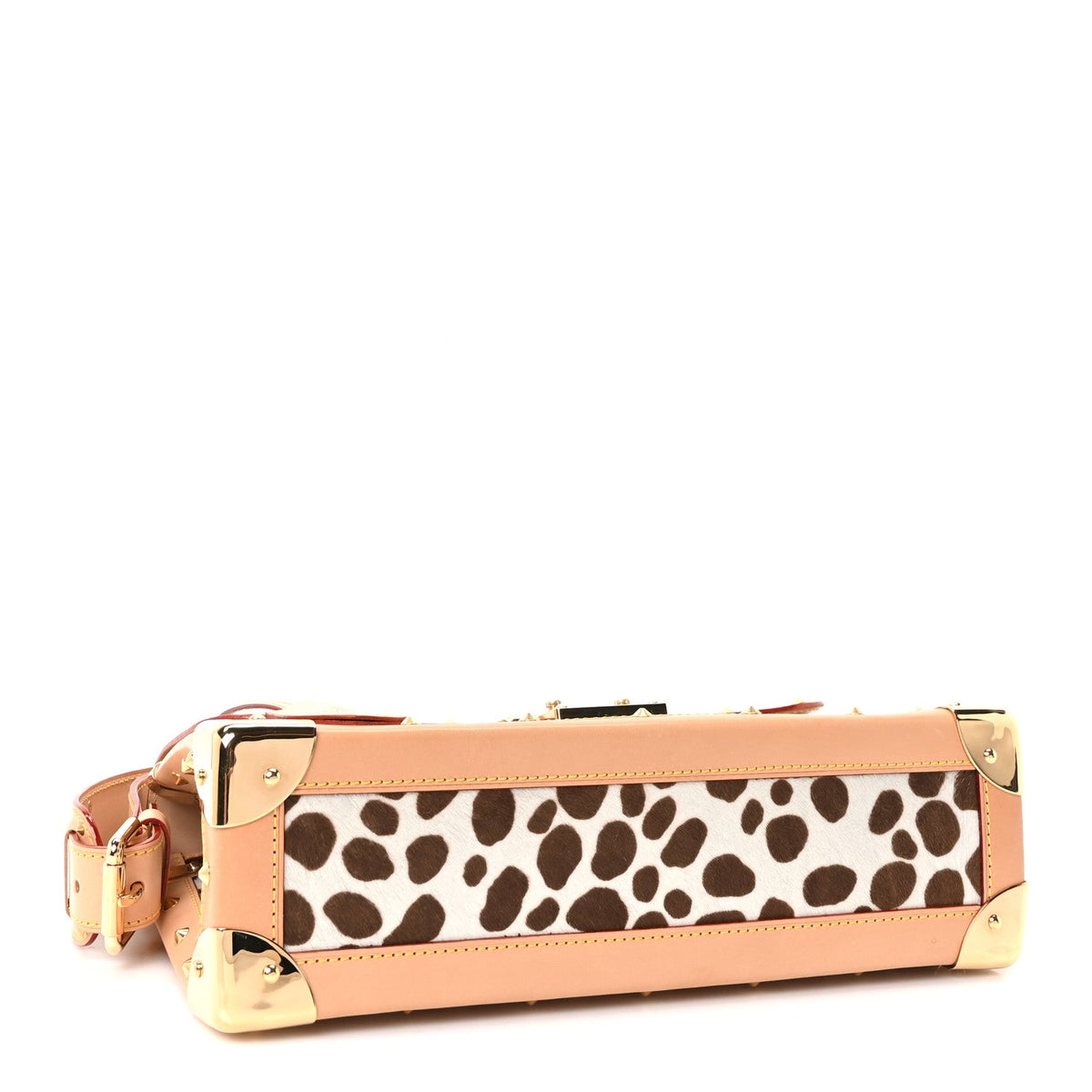 Monogram Multicolor Dalmatian Sac Rabat