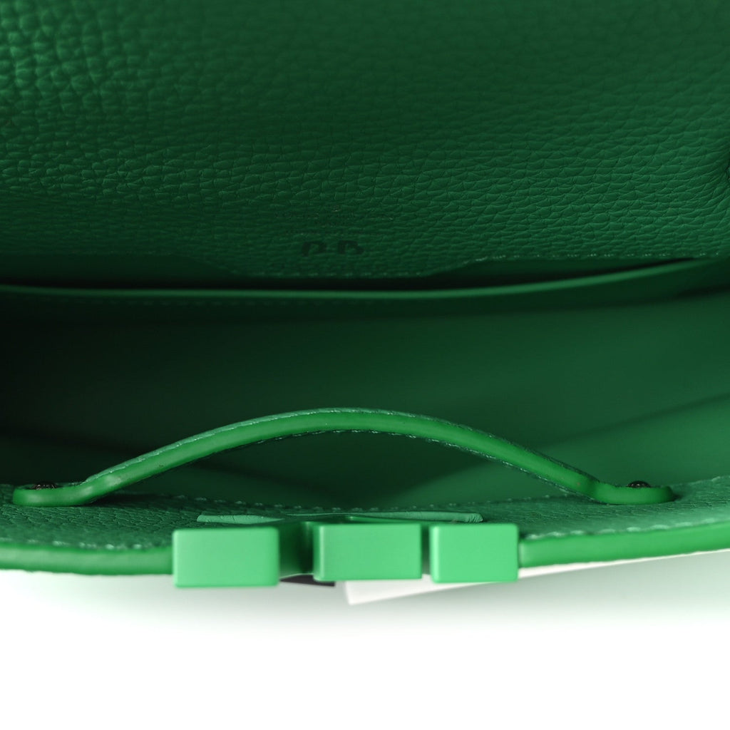 Taurillon Daniel Buren Artycapucines MM Green White