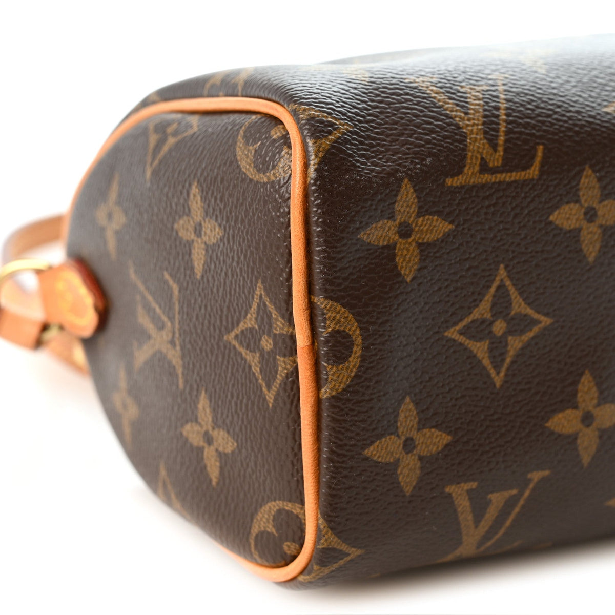 Monogram Nano Speedy