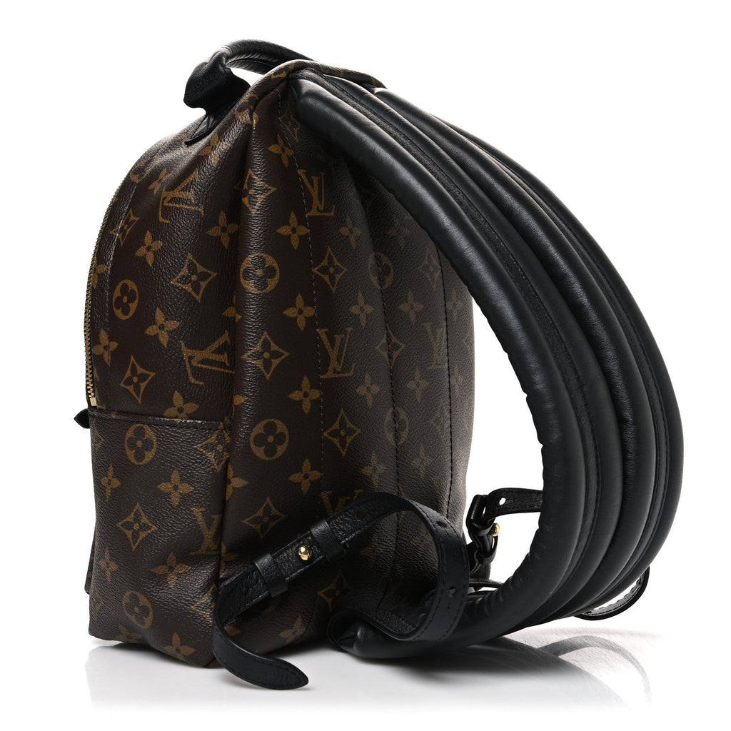 Monogram Palm Springs Backpack PM