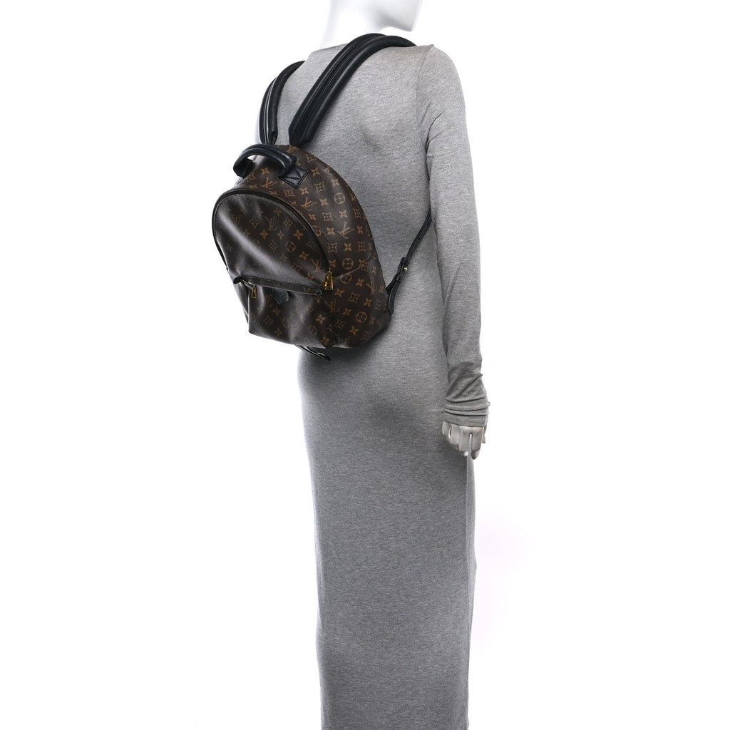 Monogram Palm Springs Backpack MM