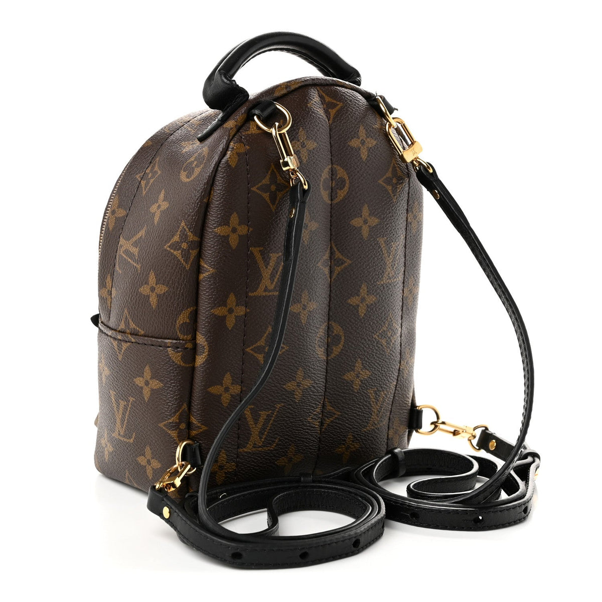 Monogram Palm Springs Backpack Mini