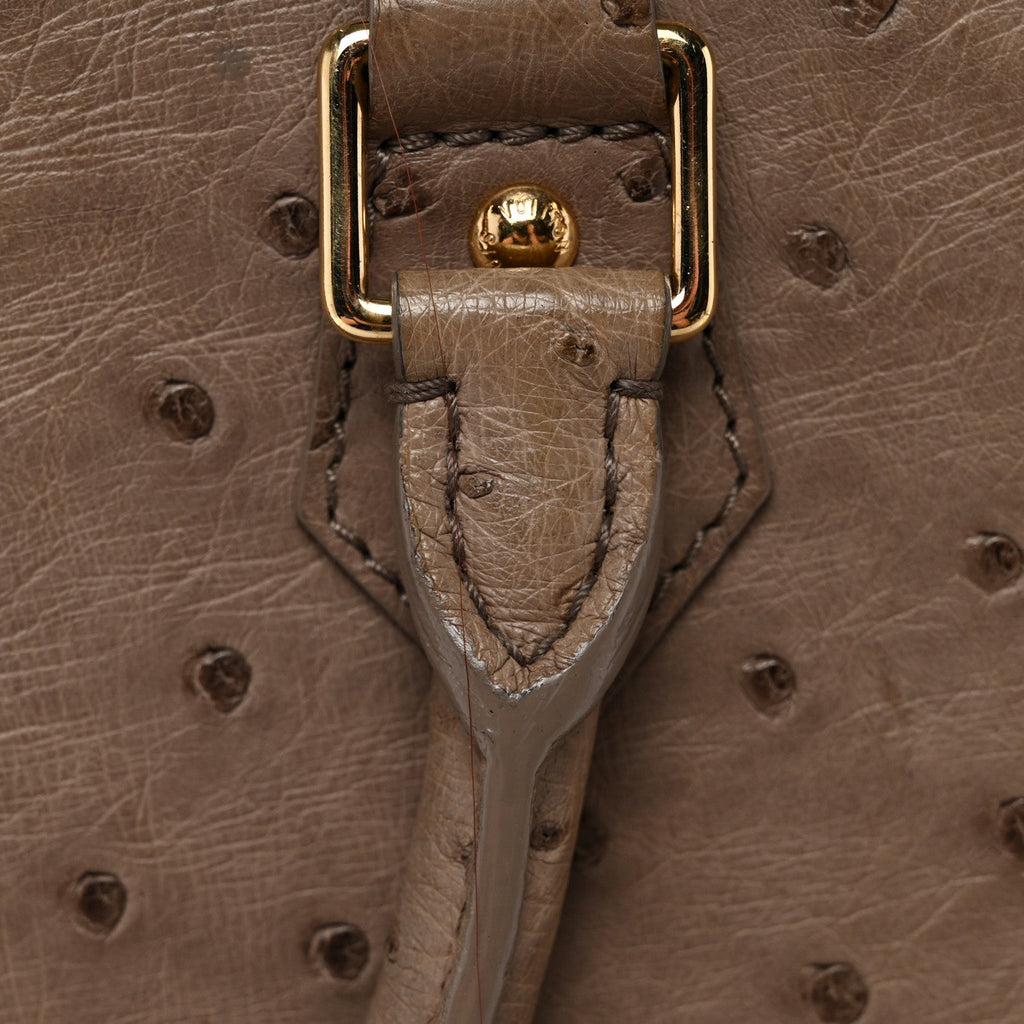 Ostrich Alma PM Gris