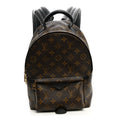 Monogram Palm Springs Backpack PM