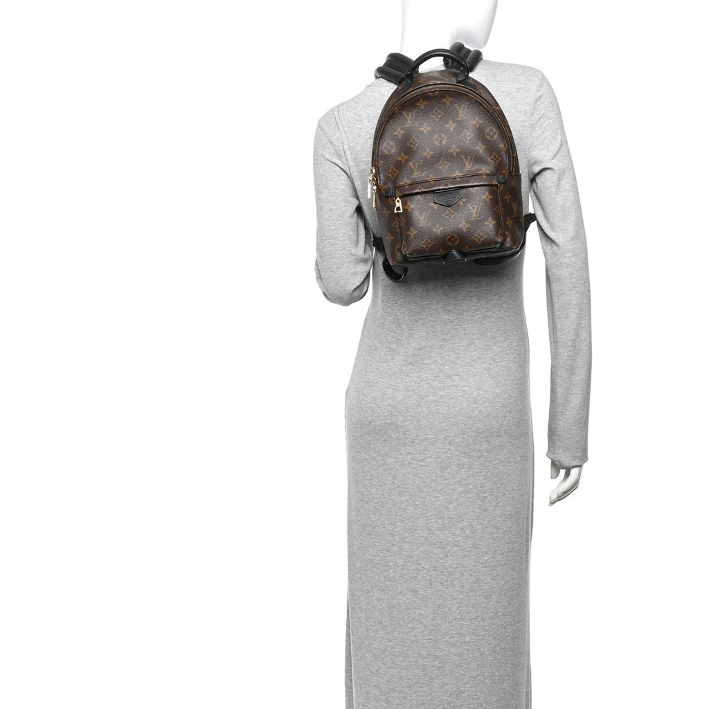Monogram Palm Springs Backpack PM