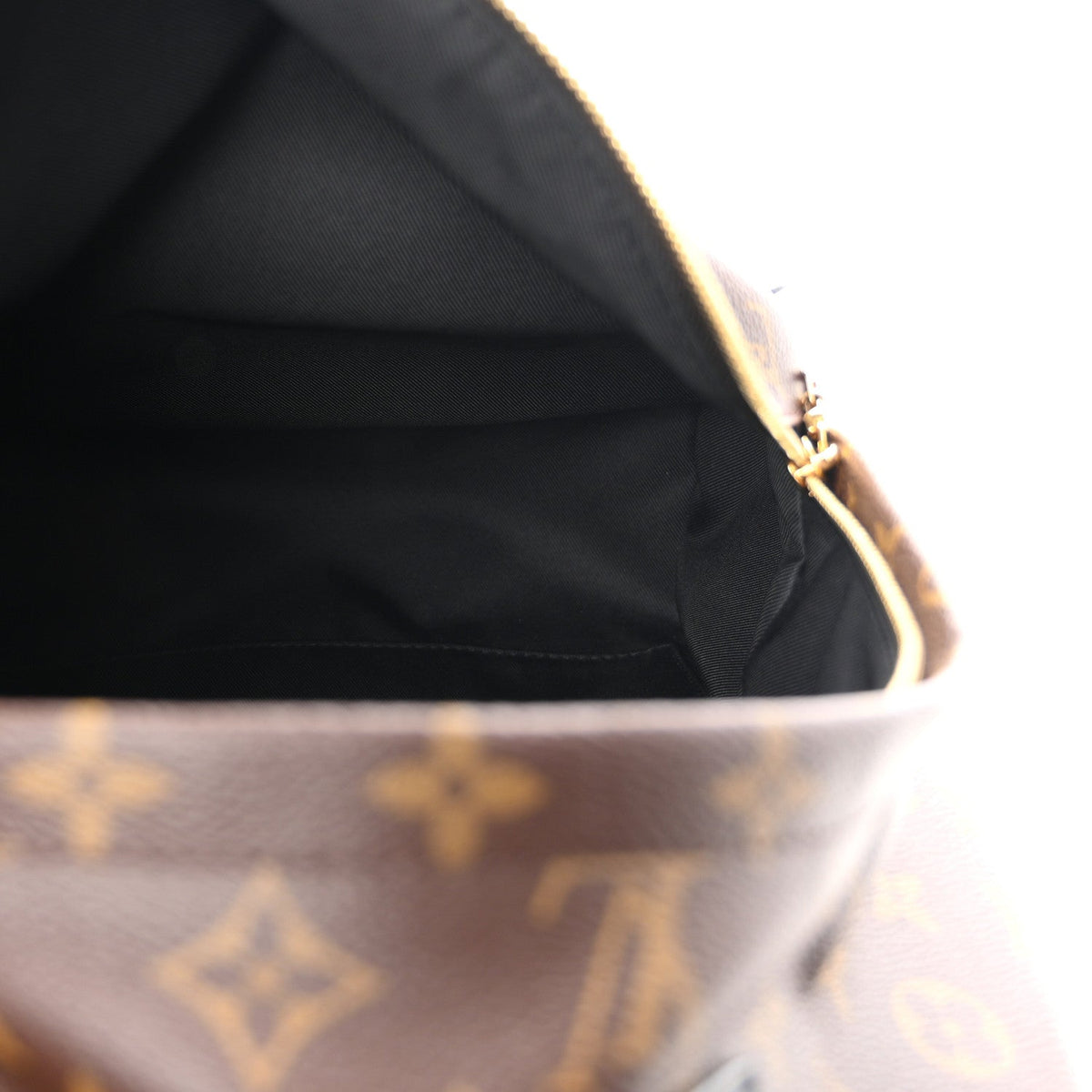 Monogram Palm Springs Backpack MM