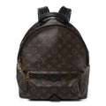 Monogram Palm Springs Backpack MM