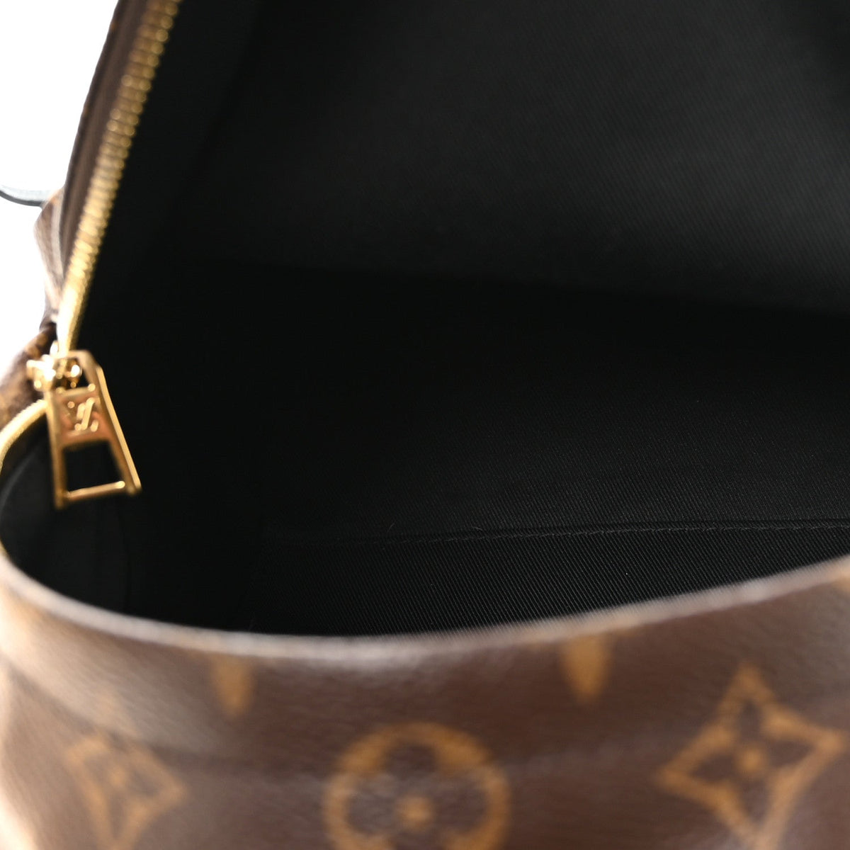 Monogram Palm Springs Backpack PM