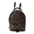 Monogram Palm Springs Backpack Mini