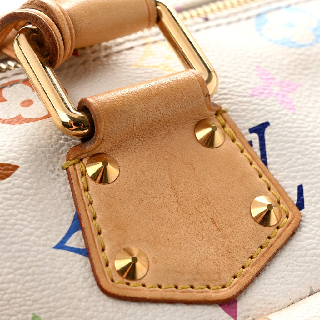 Monogram Multicolor Speedy 30 White