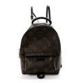 Monogram Palm Springs Backpack Mini