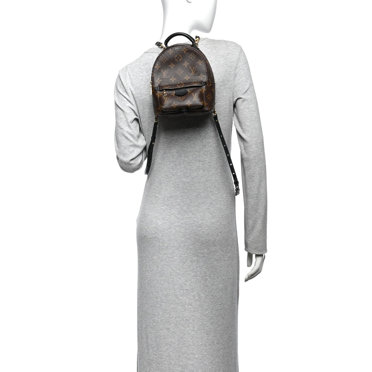 Monogram Palm Springs Backpack Mini
