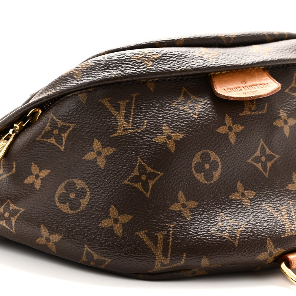 Monogram Bumbag