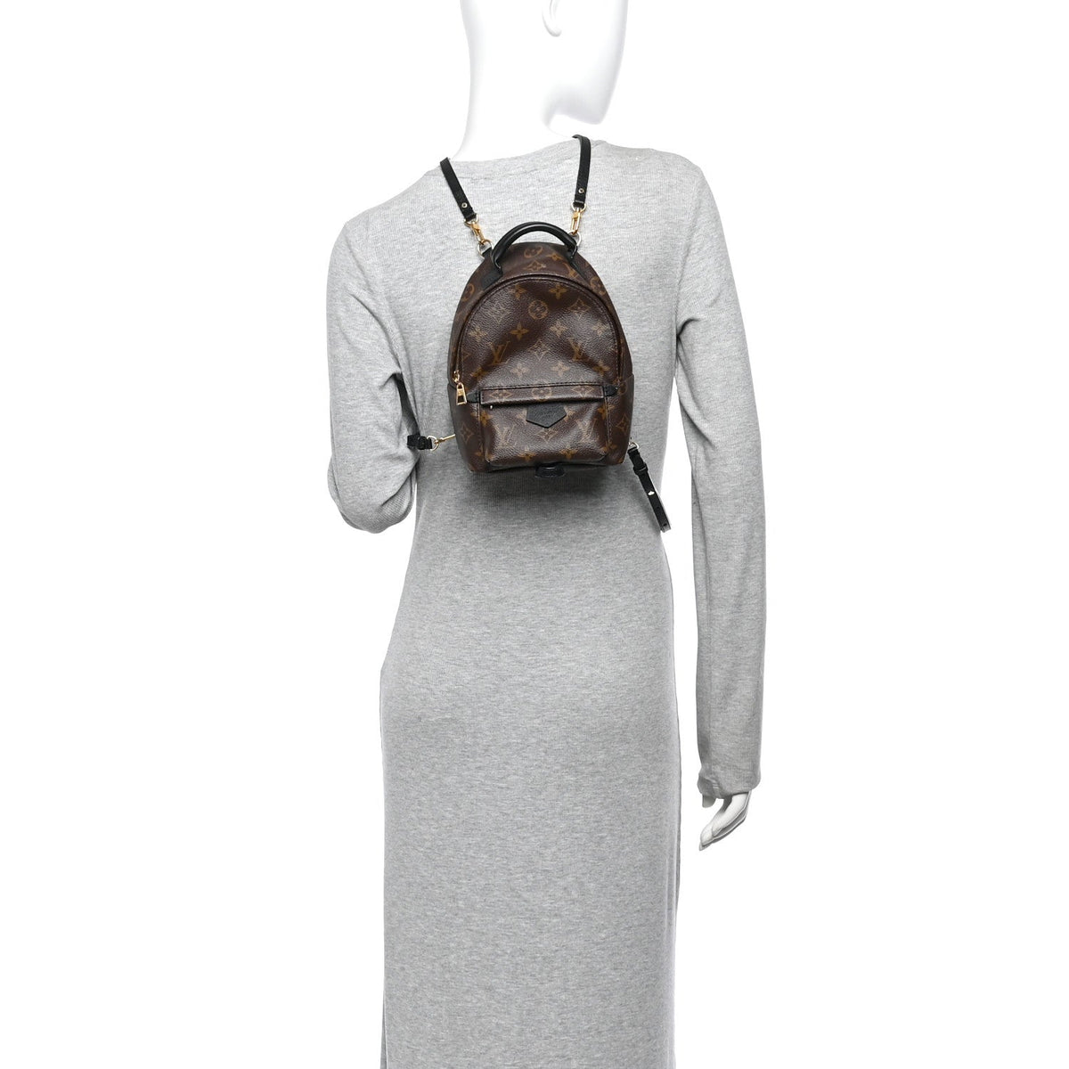 Monogram Palm Springs Backpack Mini