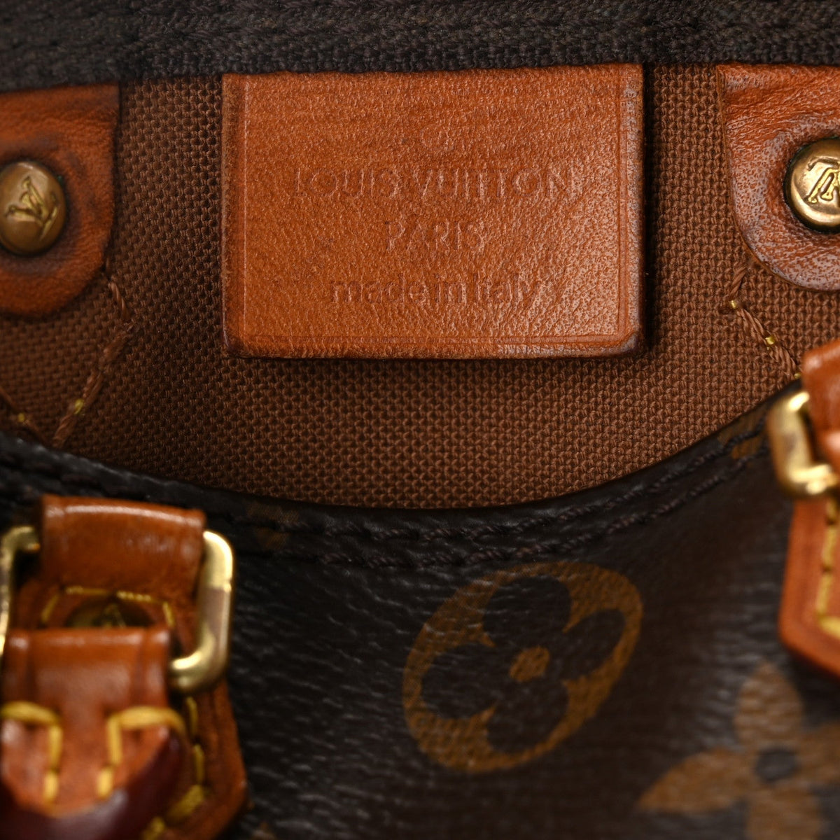 Monogram Nano Speedy