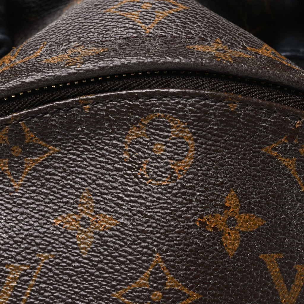 Monogram Palm Springs Backpack MM