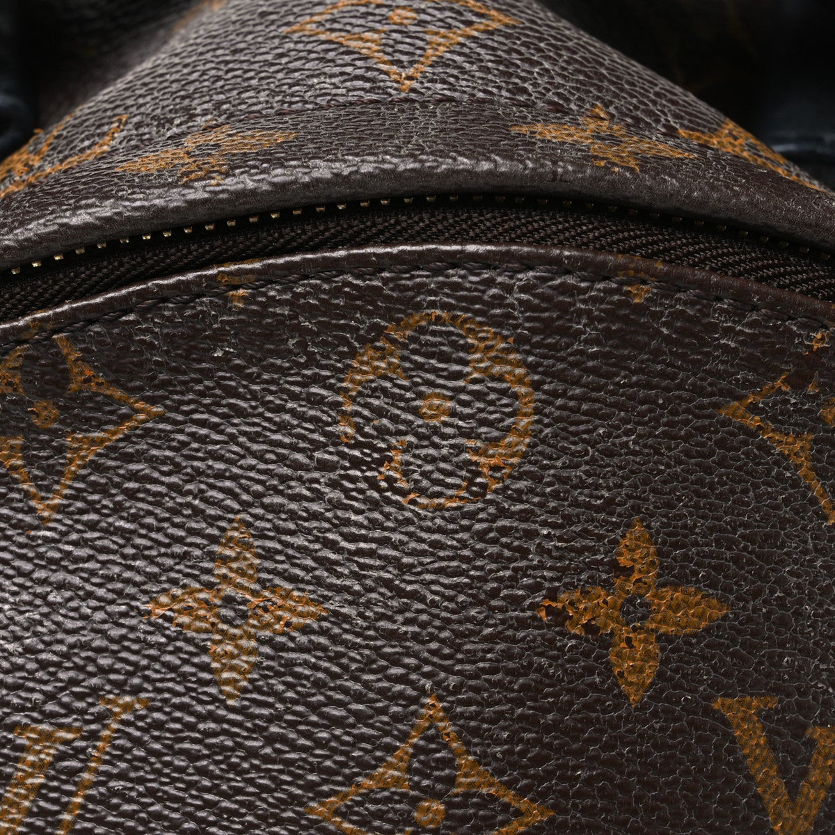 Monogram Palm Springs Backpack MM