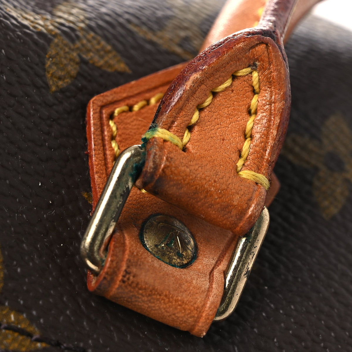 Monogram Mini Sac HL Speedy