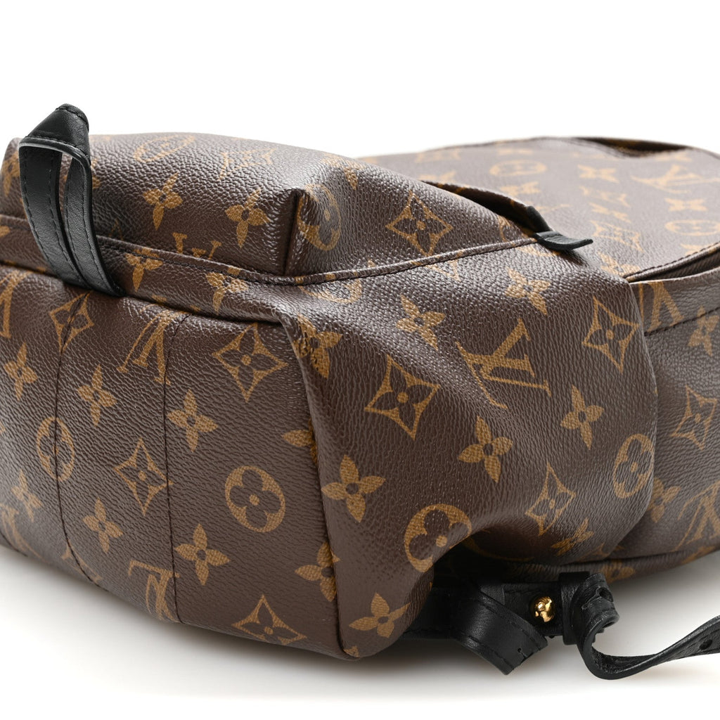 Monogram Palm Springs Backpack PM
