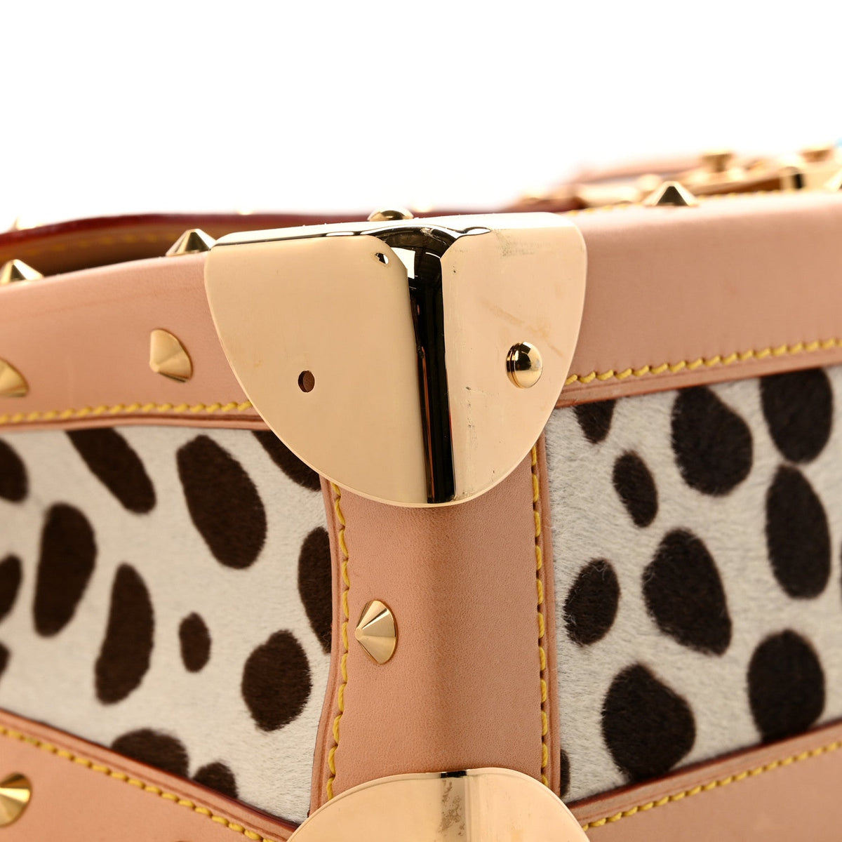 Monogram Multicolor Dalmatian Sac Rabat