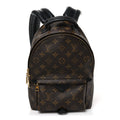 Monogram Palm Springs Backpack PM